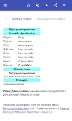 Plant diseases android App screenshot 12