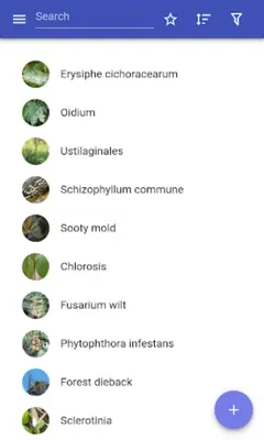 Plant diseases android App screenshot 14