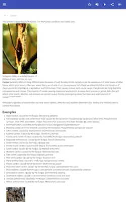 Plant diseases android App screenshot 3