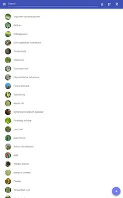 Plant diseases android App screenshot 4
