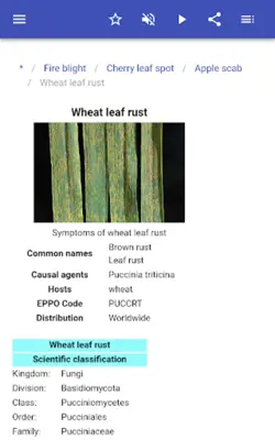 Plant diseases android App screenshot 5