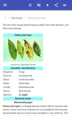 Plant diseases android App screenshot 7