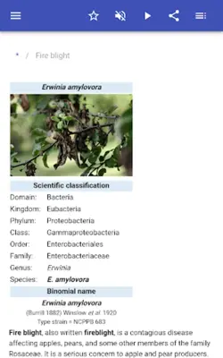 Plant diseases android App screenshot 8